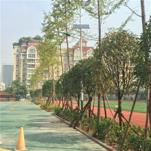 小區亮化 小區亮化