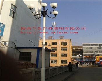 青海中華燈-陜北道路照明項目