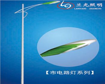 內蒙古6米市電路燈