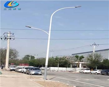 陜西西安市政10米雙臂市電路燈項目 陜西西安市政10米雙臂市電路燈項目